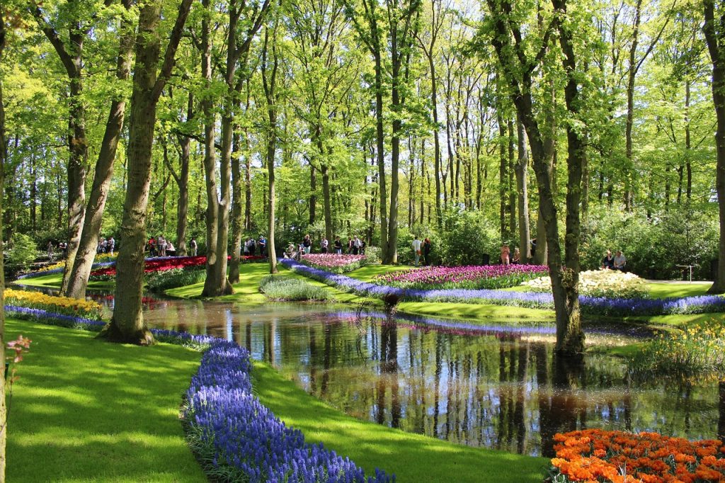 Keukenhof Gardens in Amsterdam