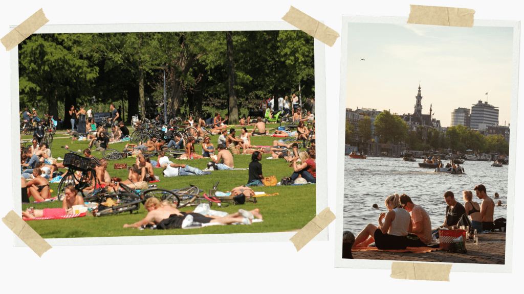 Amsterdam Summer
