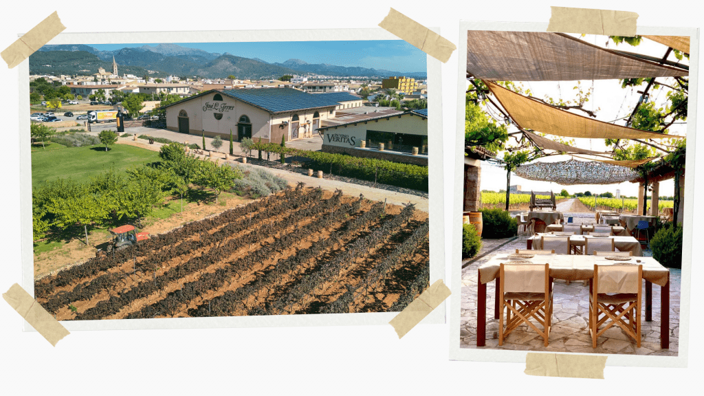 Bodegas José L. Ferrer