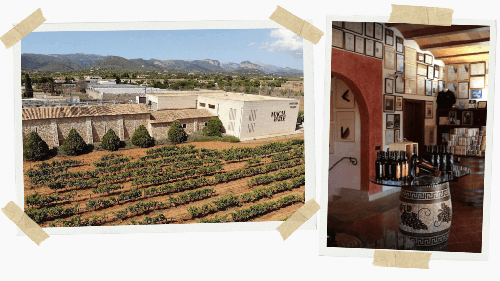 Bodegues Macià Batle