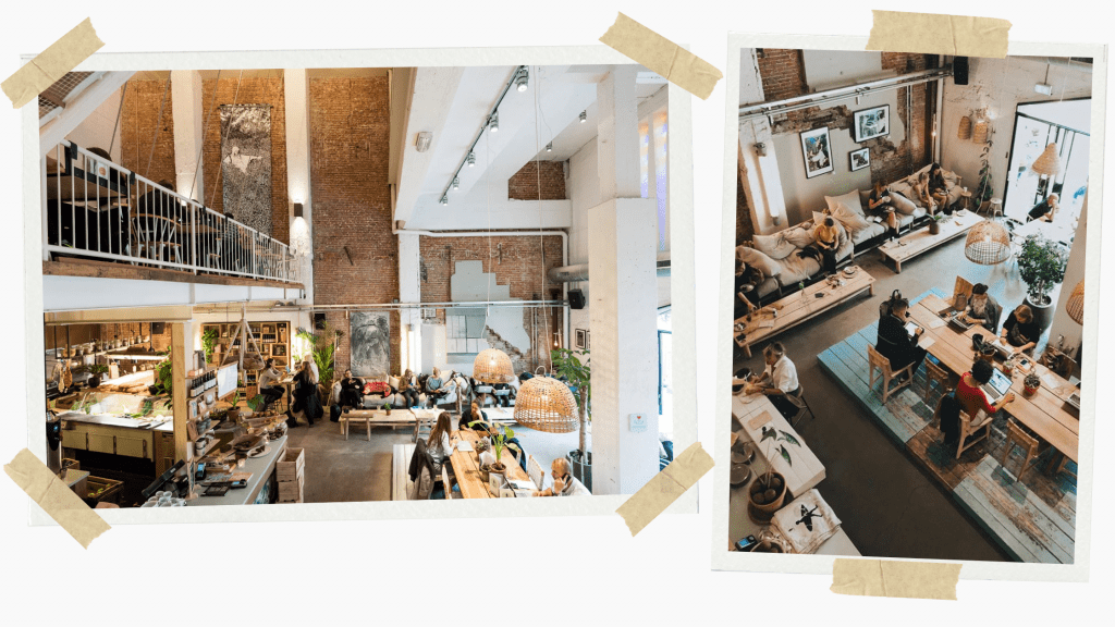 C.T. Coffee & Coconuts