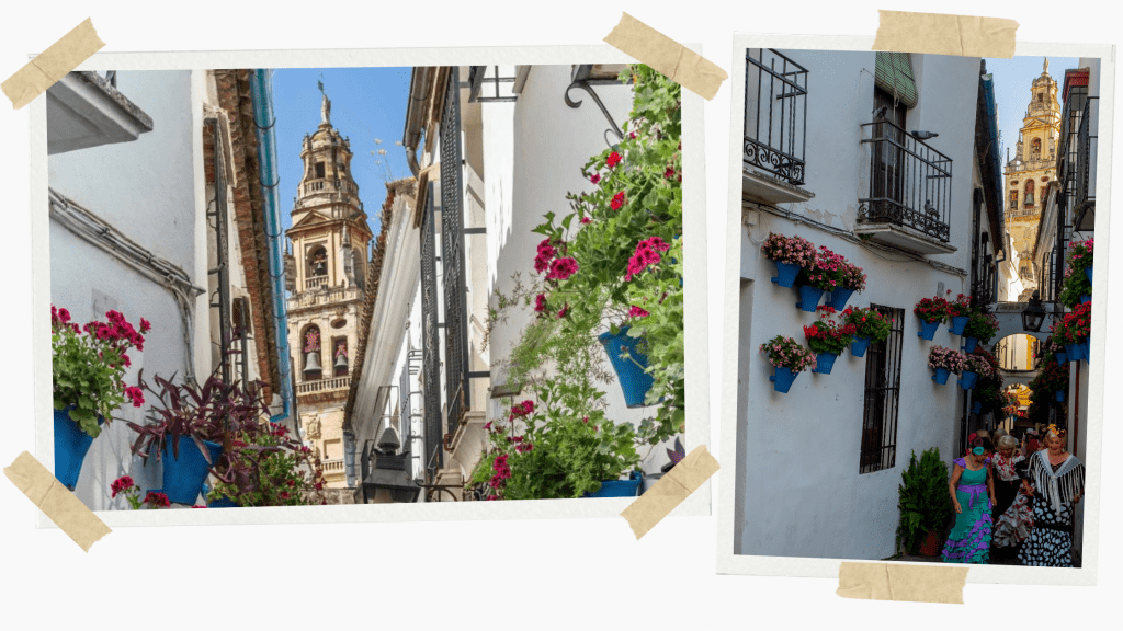 Calleja de las Flores