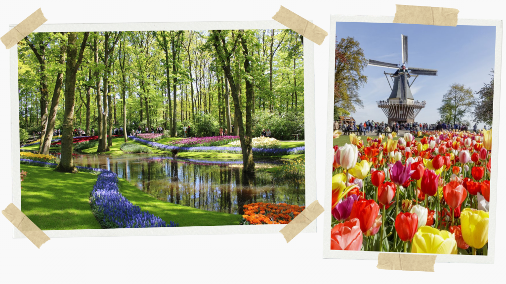 Keukenhof Gardens