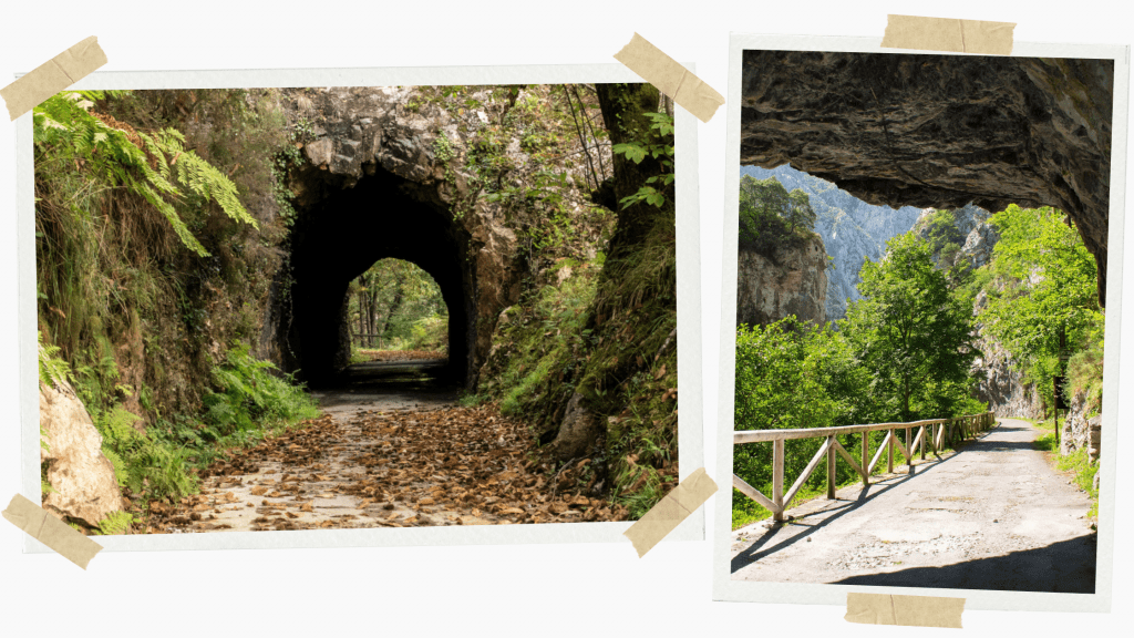 Senda del Oso Asturias hike